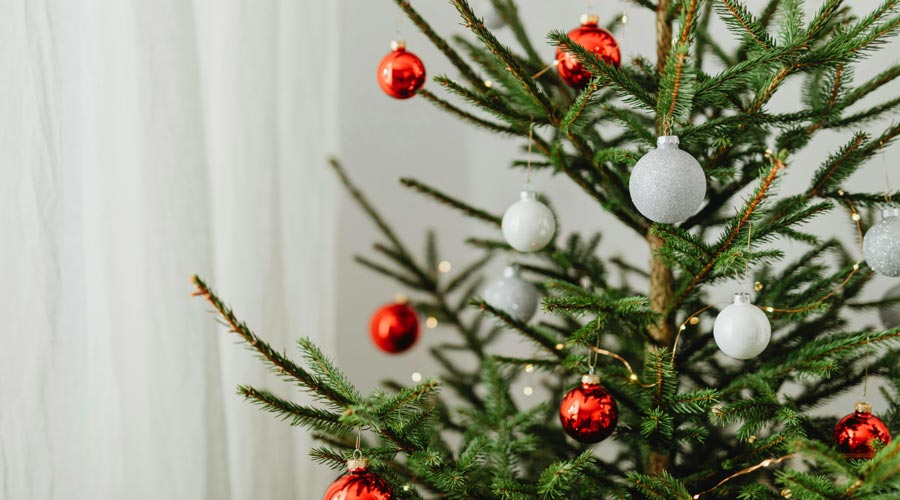 Schmuck für den Baum